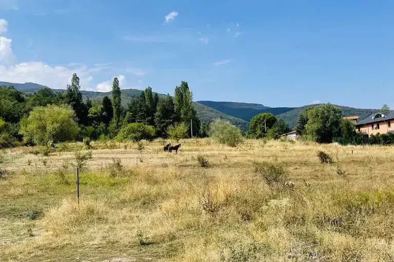 Plot in Bistrica