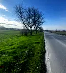 Парцел в с. Тополи