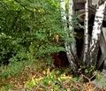 Снимка 3 — Парцел в с. Панчарево