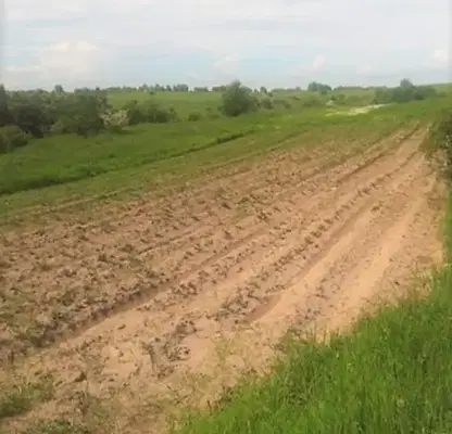 Снимка 3 — Парцел в с. Плана