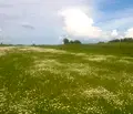 Снимка 4 — Парцел в с. Плана