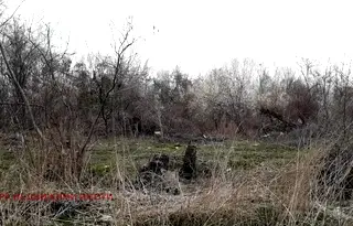 Парцел в с. Казичене