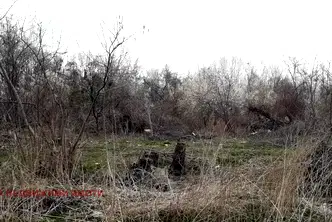 Парцел в с. Казичене