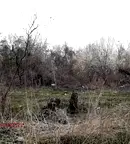 Парцел в с. Казичене