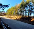 Снимка 5 — Парцел в с. Панчарево