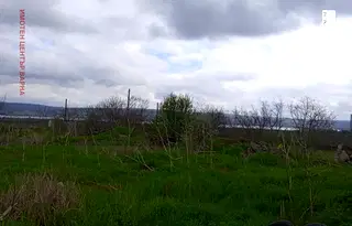 Парцел в с. Тополи