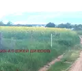 Снимка 4 — Парцел в с. Негован
