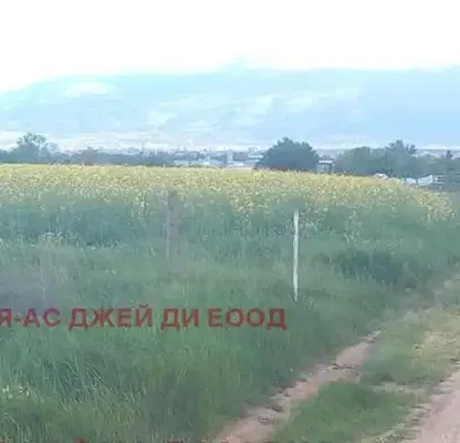 Снимка 4 — Парцел в с. Негован
