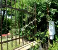 Снимка 3 — Парцел в Банкя