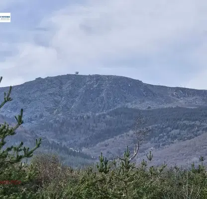 Photo 5 — Plot in Bistrica