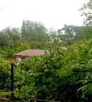 Парцел в к.к. Златни пясъци