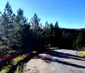 Снимка 3 — Парцел в с. Плана