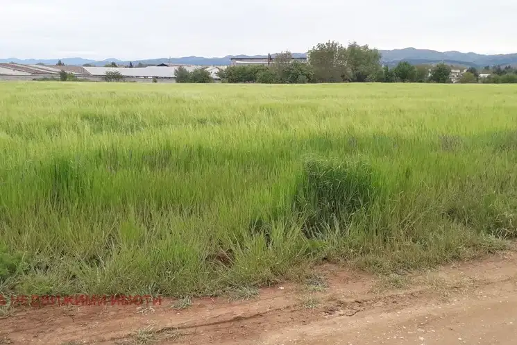 Парцел в с. Чепинци