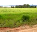 Снимка 2 — Парцел в с. Чепинци