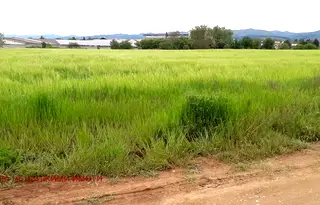 Парцел в с. Чепинци