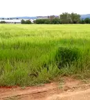 Парцел в с. Чепинци
