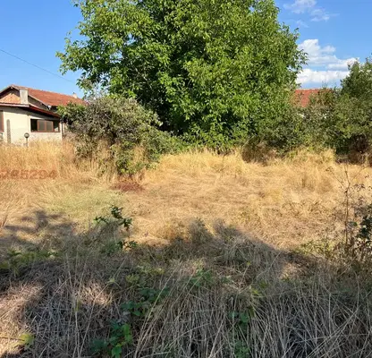 Photo 5 — Plot in Kazichene