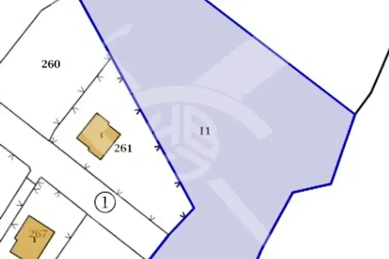 Plot in Tvyrdica