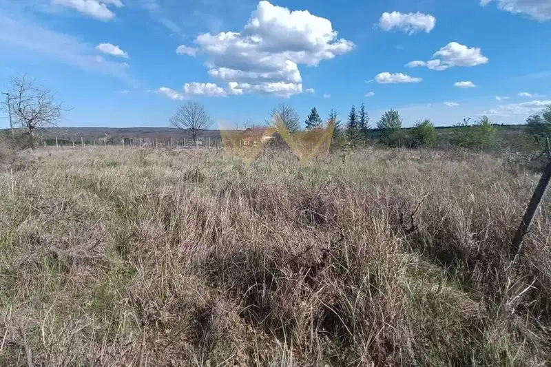 Plot in Zvezdica