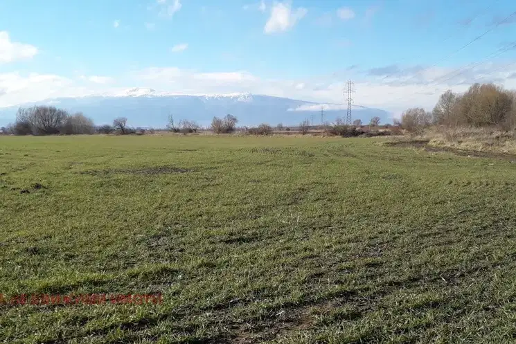 Plot in Chepinci