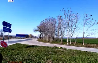 Парцел в с. Тополи