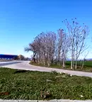 Парцел в с. Тополи