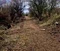 Снимка 3 — Парцел в с. Лозен