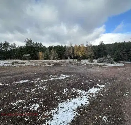 Photo 5 — Plot in Voinegovci