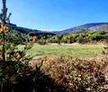 Снимка 4 — Парцел в с. Бистрица