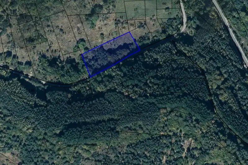 Plot in Bistrica