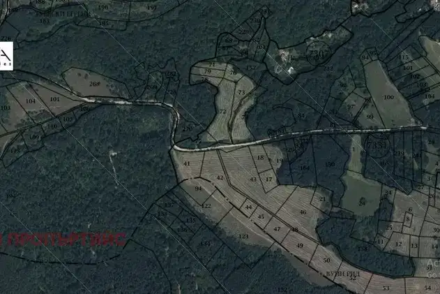 Парцел в с. Долни Пасарел