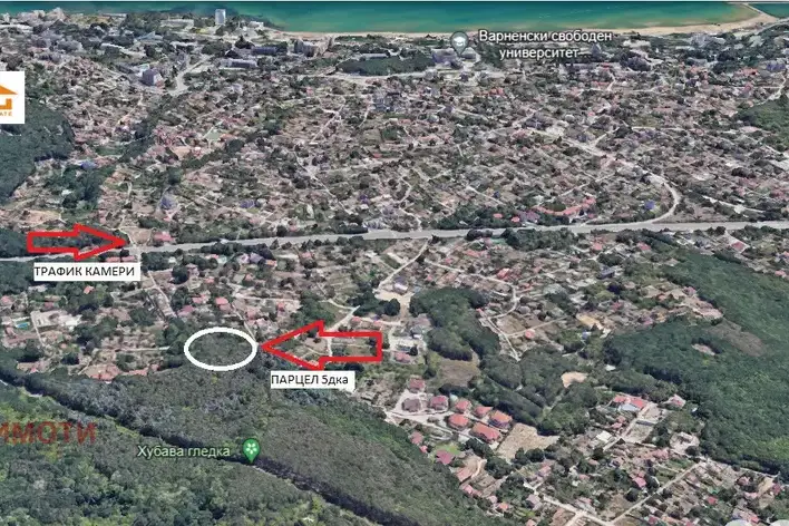 Plot in Zlatni Pyasyci