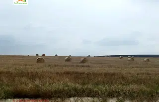 Парцел в с. Лозен