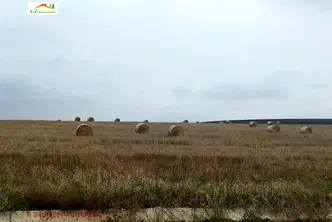 Парцел в с. Лозен