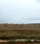 Парцел в с. Лозен
