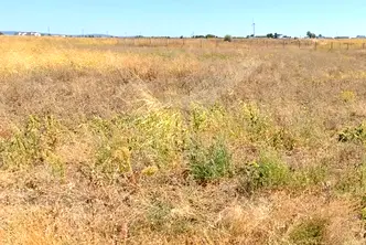 Парцел в с. Извор