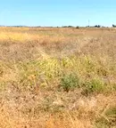 Парцел в с. Извор