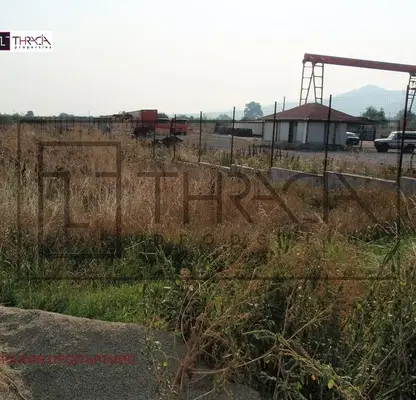 Photo 3 — Plot in Lozen
