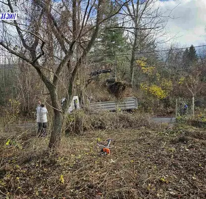 Photo 4 — Plot in Vladaya