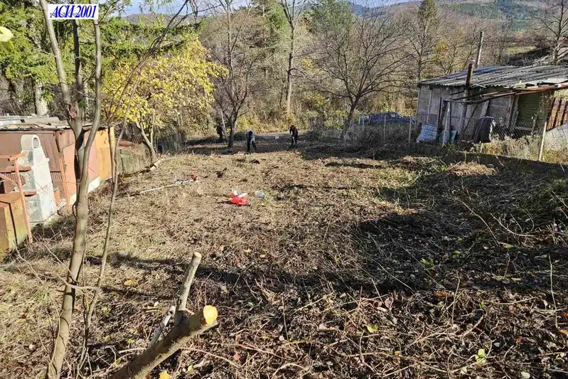 Plot in Vladaya