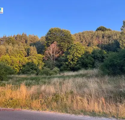 Photo 2 — Plot in Bistrica