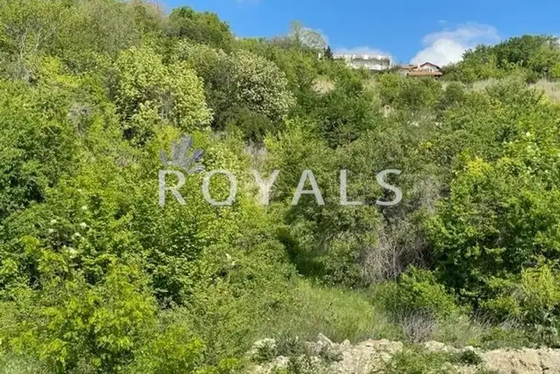 Plot in Zlatni Pyasyci