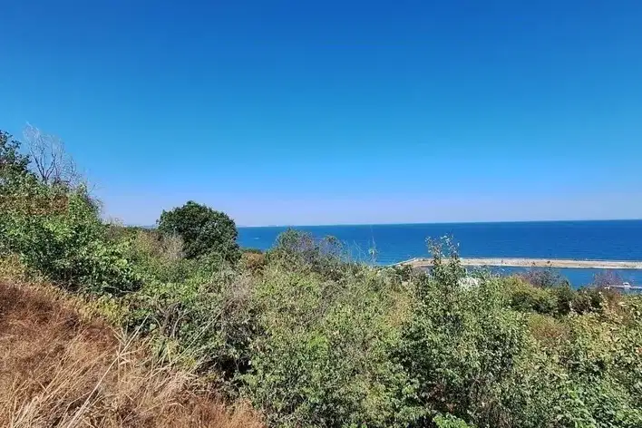 Plot in Zlatni Pyasyci