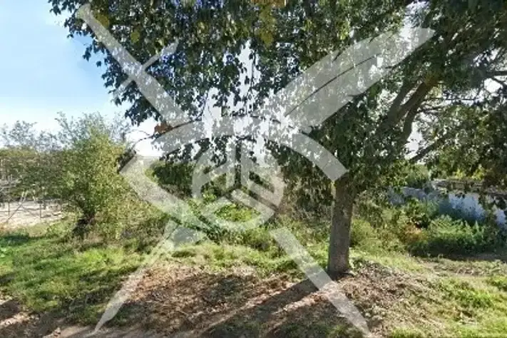 Plot in Izvor