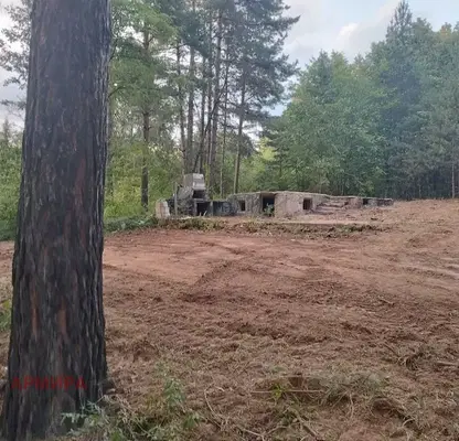 Photo 4 — Plot in Voinegovci