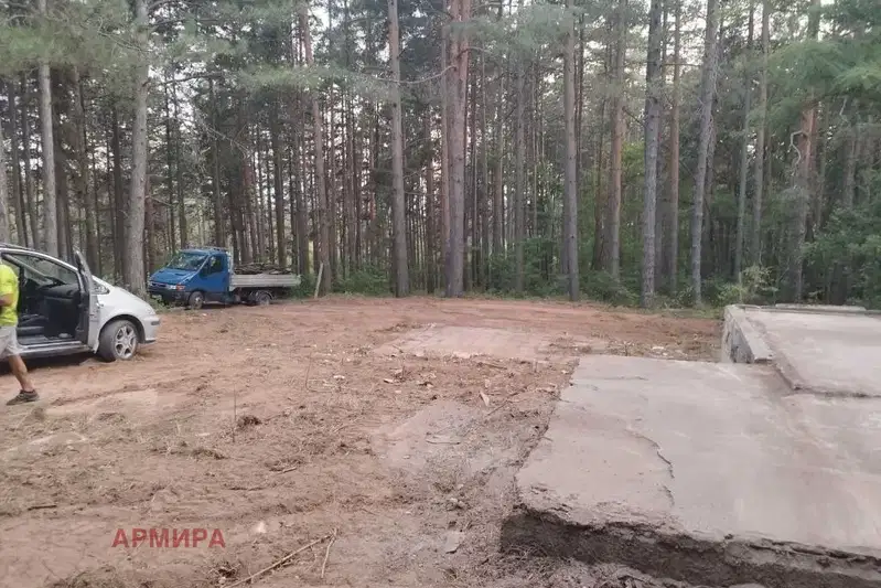 Plot in Voinegovci