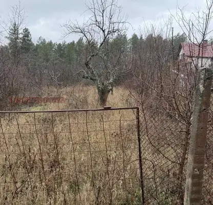 Снимка 2 — Парцел в с. Войнеговци