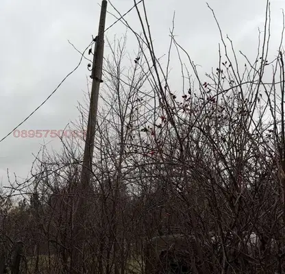 Снимка 4 — Парцел в с. Войнеговци