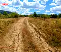 Снимка 4 — Парцел в с. Мало Бучино