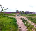 Снимка 3 — Парцел в с. Тополи